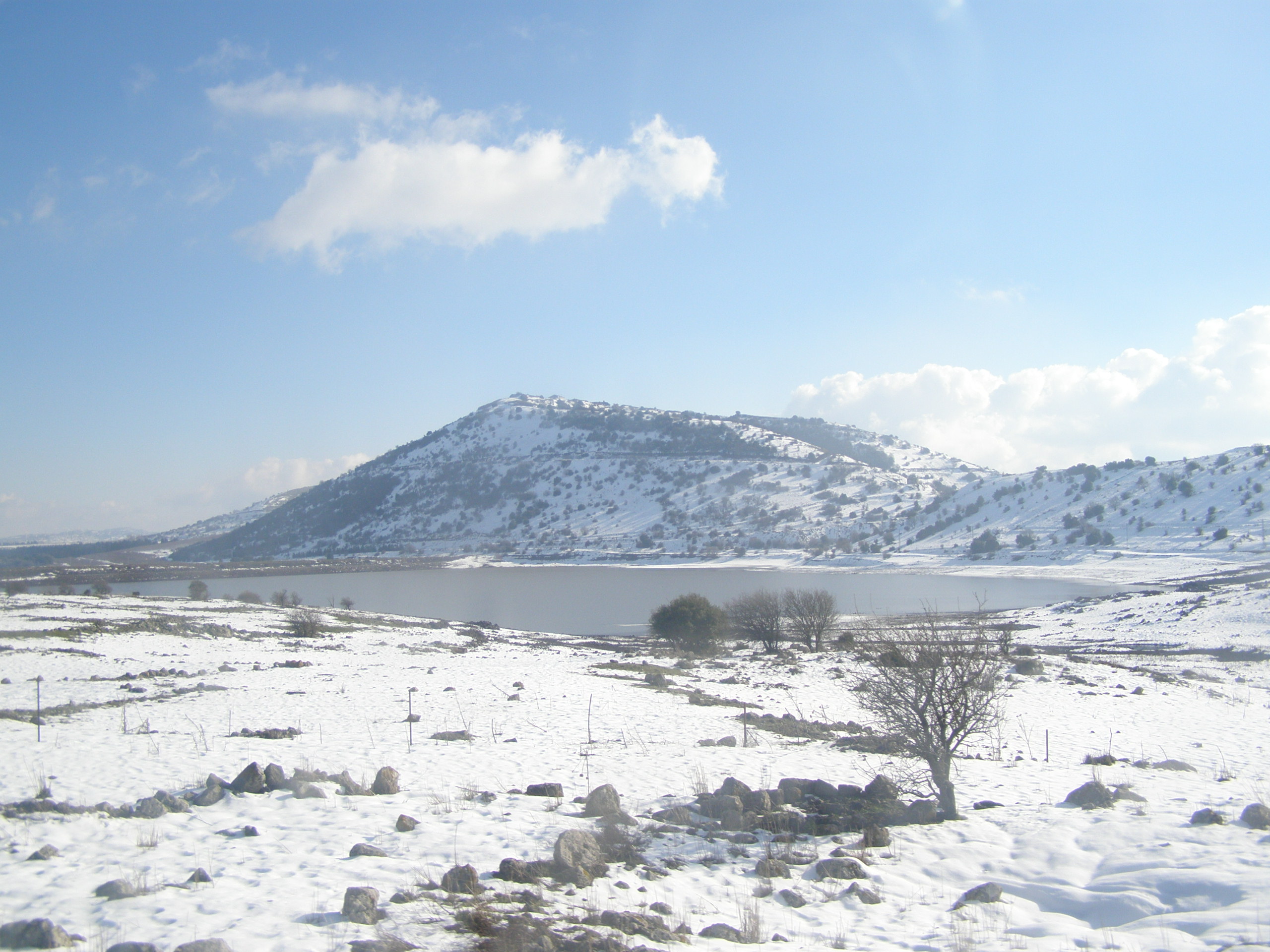 Bental Mountain, Onn Lahav, 2008